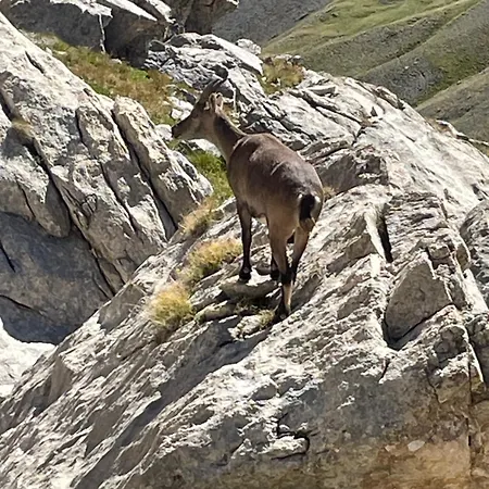 Ferienwohnung Au Pied Des Pistes D'Arvieux Exterior foto