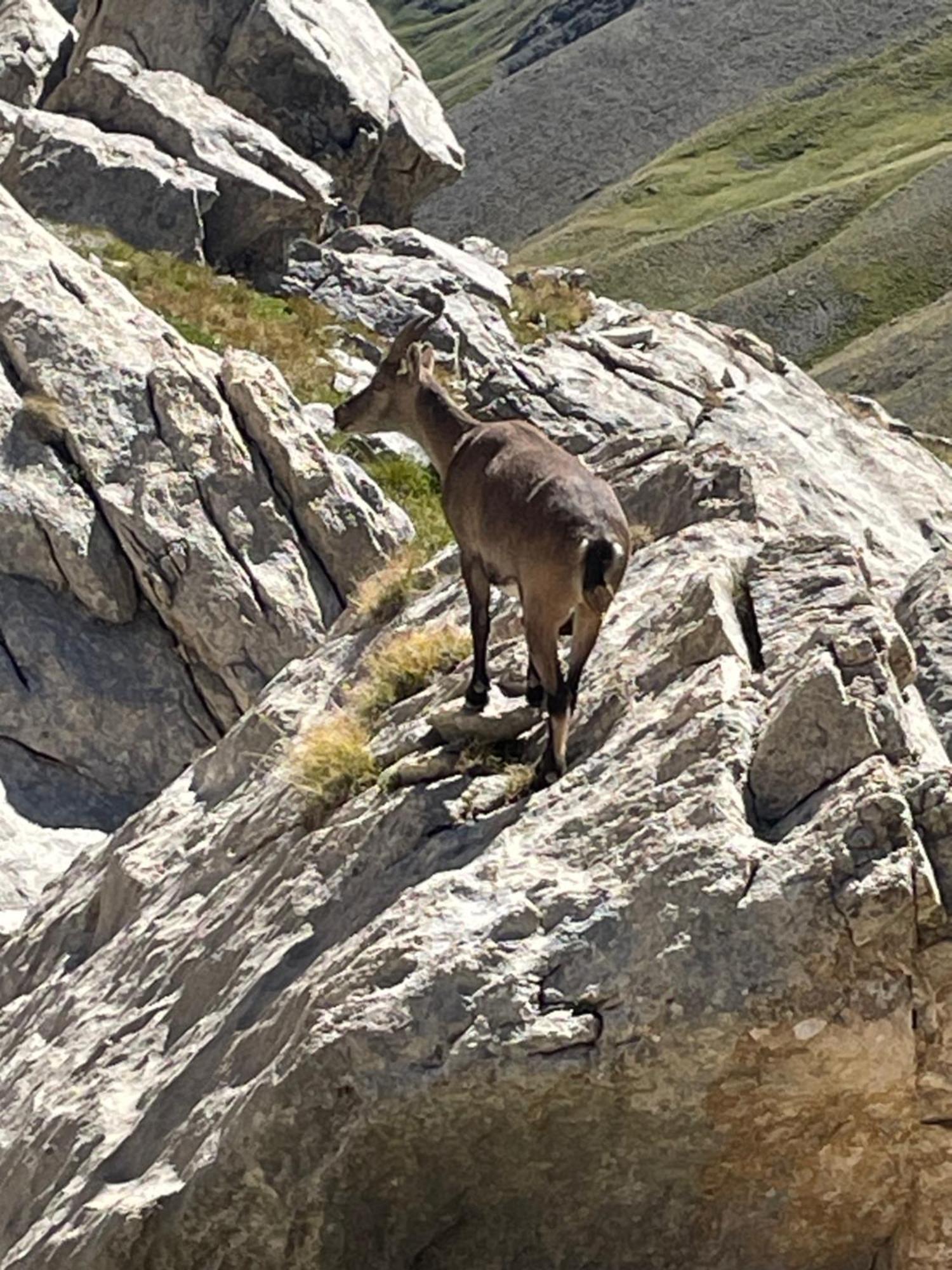 Au Pied Des Pistes D'arvieux * Arvieux